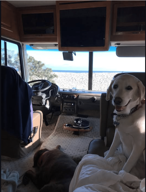 Need expert RV repair