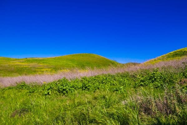 Chino Hills State Park