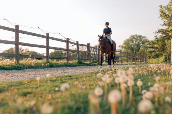 George Ingalls Equestrian Event overview Center